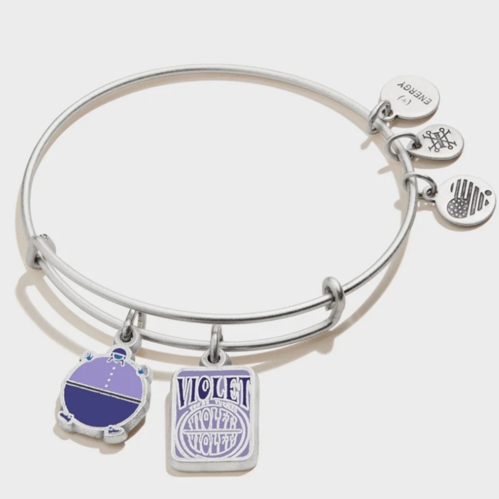 Alex and Ani Silver and Purple Charm Bracelet